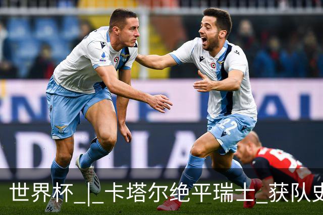 世界杯 | 卡塔尔绝平瑞士 获队史首个世界杯积分