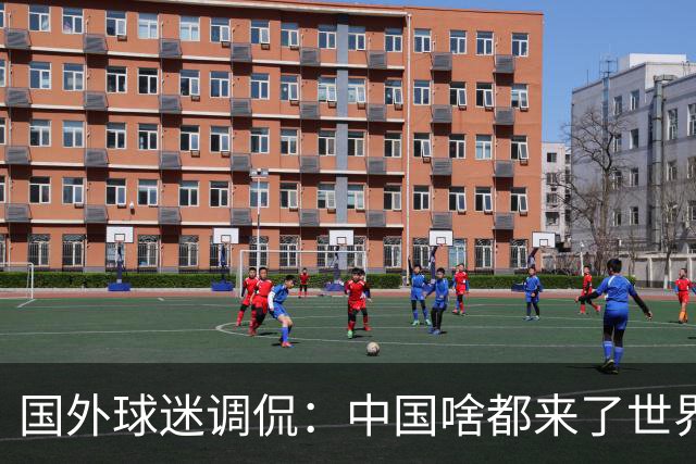 国外球迷调侃：中国啥都来了世界杯，就是球队没有来
